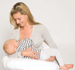 Feeding Support Pillow