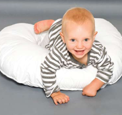 Feeding Support Pillow